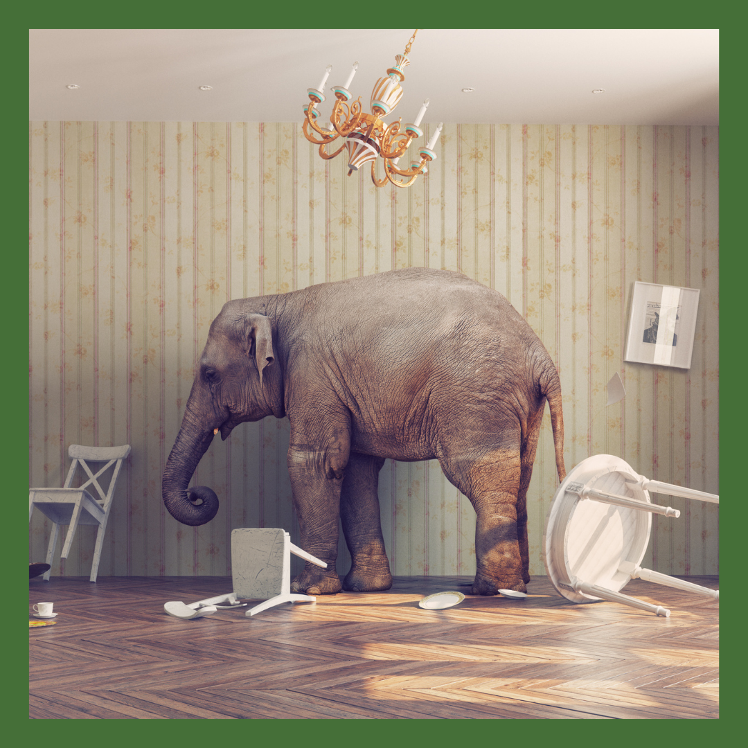The Elephant in the Room - Rethinking Fast Furniture and Interior Design